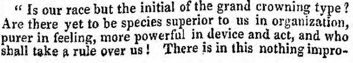 Original Newspaper Clipping